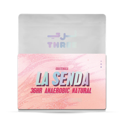 [SX02516] Three Gautemala Senda Natural Anaerobic SHB 250G