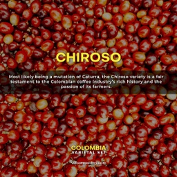 [SX02555] Vulcan Colombia Finca El Diviso Chiroso 250G- Espresso Roast