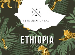 [SX02719] Fermenatation Lab Shantawene Natural Filter 250 G