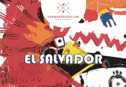 [SX02721] Fermenatation Lab El Salvador Filter 250 G