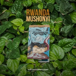 [SX02787] Vulcan Rwanda Mushonyi Filter 250 G