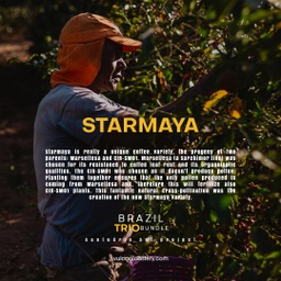 [SX02792] Vulcan Brazil Suntuario Sul Starmaya Filter 250 G