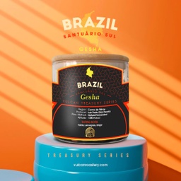 [SX02796] Vulcan Brazil Suntuario Sul Gesha Filter 200