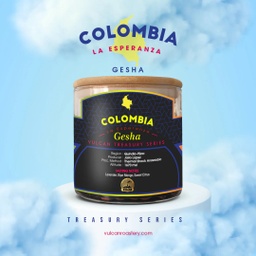 [SX02797] Vulcan Colombia Finca La Esperanza Gesha Filter 200 G