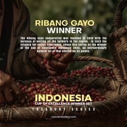 [SX02800] Vulcan Indonesia Ribang Gayo Filter Filter 100 G