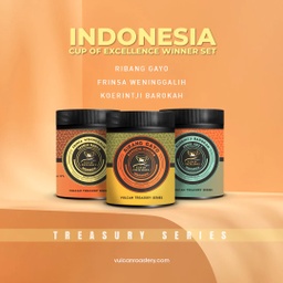 [SX02801] Vulcan Indonesia Frinsa Weninggalih Filter 100 G