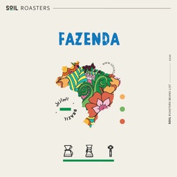[SX02948] Soil Brazilian Beans 250 G