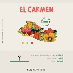 [SX02949] Soil El Salvador Elcarmen 250 G