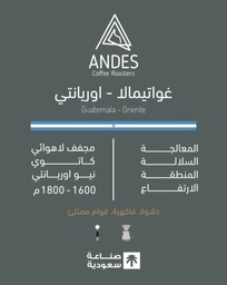 [SX03256] Andes Guatemala Oriente 250G